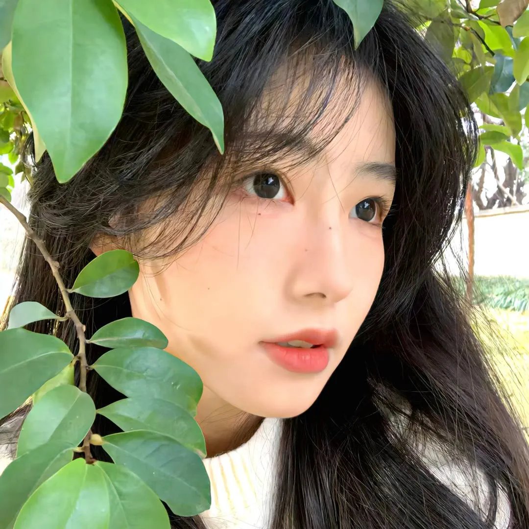 布偶也摇滚第二季